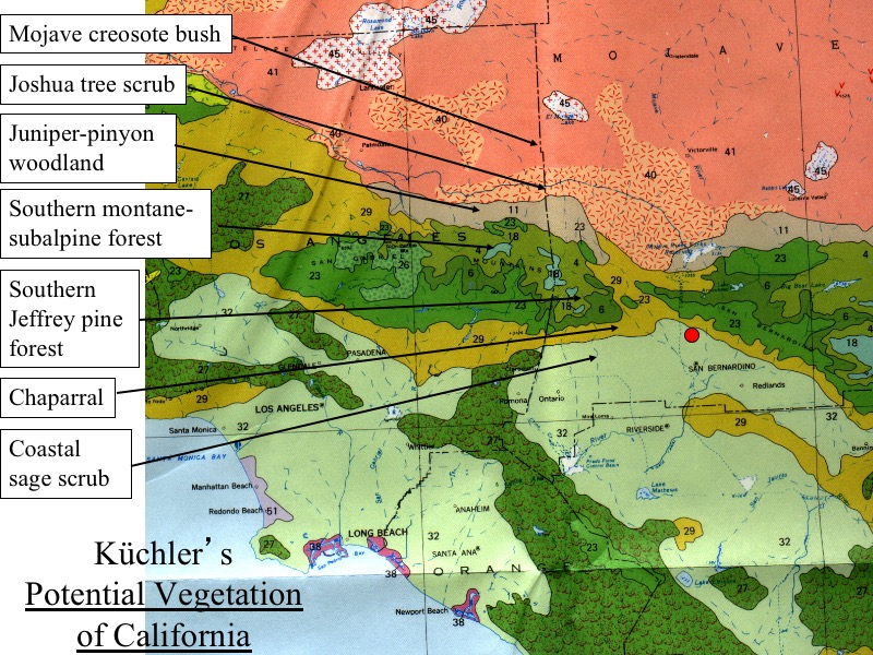 KÃÆÃ¼chler's Potential Vegetation of California