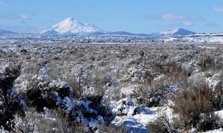 Snow in the Great Basin