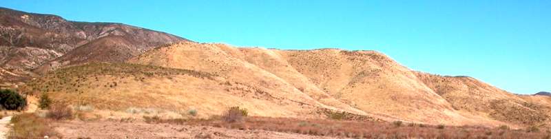 South side of Badger Hill - dominated by annual grasses